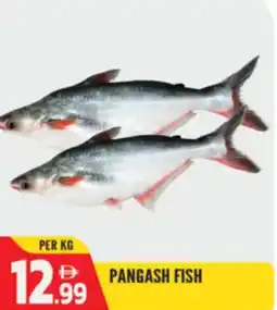 Dream Land Center Pangash fish offer