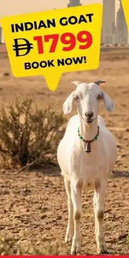Grand Hyper Market Indian goat offer