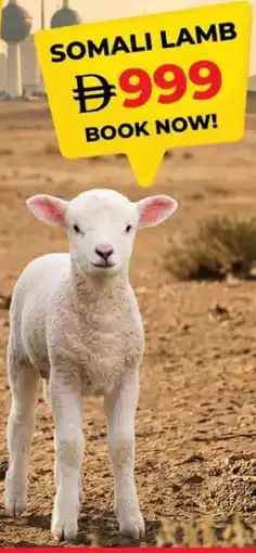 Grand Hyper Market Somali lamb offer