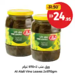 Union Coop Al Alali Vine Leaves offer