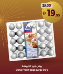 Union Coop Dana Fresh Eggs Large offer