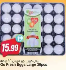 Almaya supermarket Go Fresh Eggs Large offer