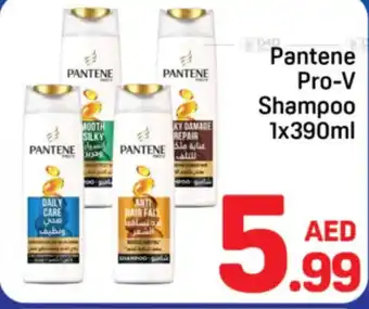 Day To Day Pantene Pro-V Shampoo offer