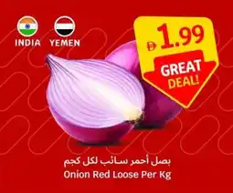 SAVA Onion Red Loose offer