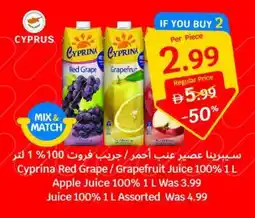 SAVA Cyprina Red Grape/Grapefruit Juice 100% Apple Juice 100% Was Juice 100% Assorted offer