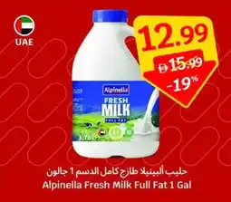 SAVA Alpinella Fresh Milk Full Fat offer