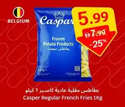 SAVA Casper Regular French Fries offer