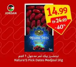 SAVA Nature's Pick Dates Medjoul offer
