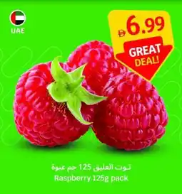 SAVA Raspberry offer