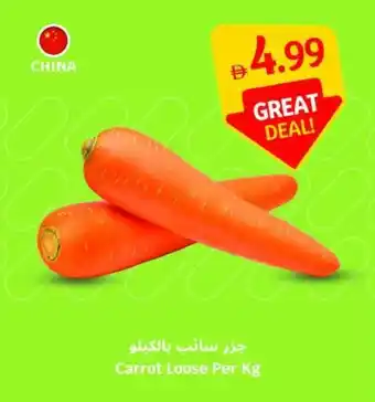 SAVA Carrot Loose offer