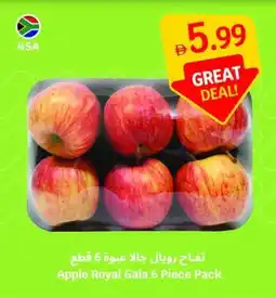 SAVA Apple Royal Gala offer