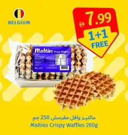 SAVA Malties Crispy Waffles offer