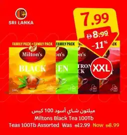 SAVA Miltons Black Tea Assorted offer
