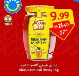 SAVA Akasia Natural Honey offer