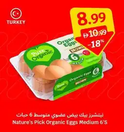 SAVA Nature's Pick Organic Eggs Medium offer