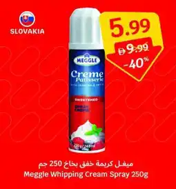 SAVA Meggle Whipping Cream Spray offer