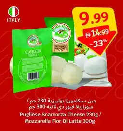 SAVA Pugliese scamorza cheese / mozzarella fior di latte offer