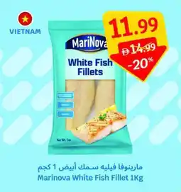 SAVA Marinova white fish fillet offer