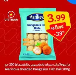 SAVA Marinova Breaded Pangasius Fish Ball offer