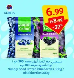 SAVA Simply Good Frozen Blueberries / Blackberries offer