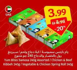 SAVA Yum Bites Samosa Assorted / Chicken & Beef Kibbeh /Vegetable & Chicken Spring Roll offer