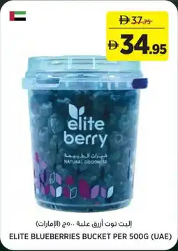Géant Elite Blueberries Bucket offer