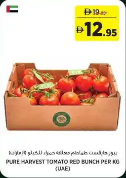 Géant Pure harvest tomato red bunch offer