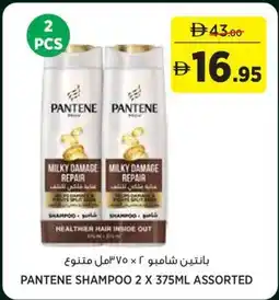 Géant Pantene shampoo assorted offer