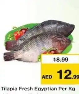 Nesto Tilapia Fresh Egyptian offer