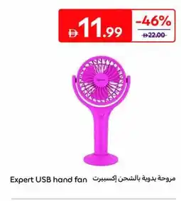Carrefour Expert USB Hand Fan offer