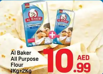 Day To Day Al Baker All Purpose Flour offer