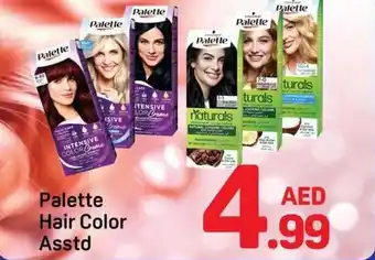 Day To Day Palette Hair Color offer