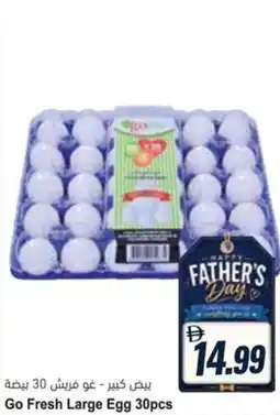 Almaya supermarket Go Fresh Large Egg offer