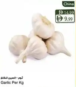 Almaya supermarket Garlic offer