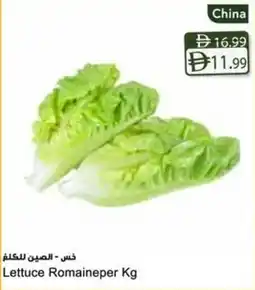 Almaya supermarket Lettuce Romaineper offer