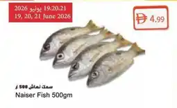 Almaya supermarket Naiser Fish offer