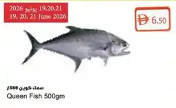 Almaya supermarket Queen Fish offer