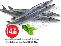 Safari Hypermarket Fresh Barracuda Small KSA offer