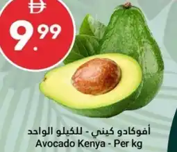 Grand Emirates Market Avocado offer