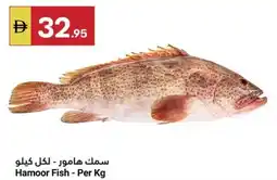 Grand Emirates Market Hamoor Fish offer