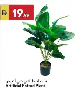 Grand Emirates Market Artificial Potted Plant offer
