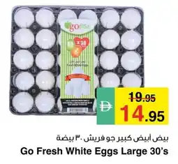 Safeer Market Go fresh white eggs large offer