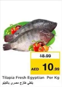 Nesto Tilapia fresh egyptian offer