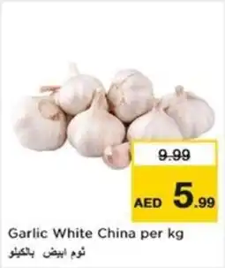 Nesto Garlic white china offer