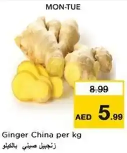 Nesto Ginger china offer