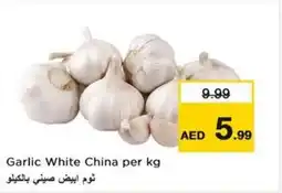 Nesto Garlic White China offer