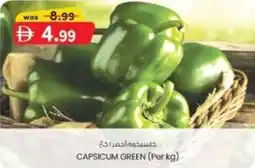 KM Trading Capsicum green offer