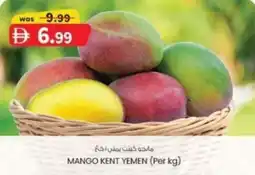 KM Trading Mango kent yemen offer