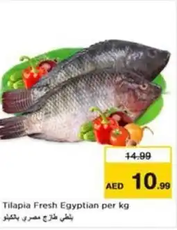 Nesto Tilapia fresh egyptian offer