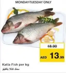 Nesto Katla fish offer